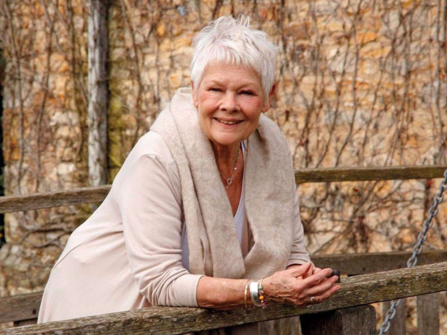 Stylish Celebs Over 50: Dame Judi Dench
