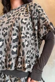 Arbi Big Cat Frill Box Top Earth