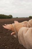 Cosy Cuff Fingerless Gloves Camel