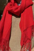 Highland Cotton Cashmere Scarf Rouge