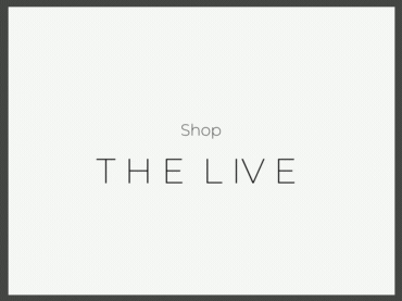 Shop-3.gif