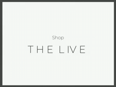 Shop-3.gif